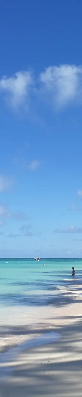Gleite mit vollen Segeln durchs karibische Meer auf der «Sea Cloud»